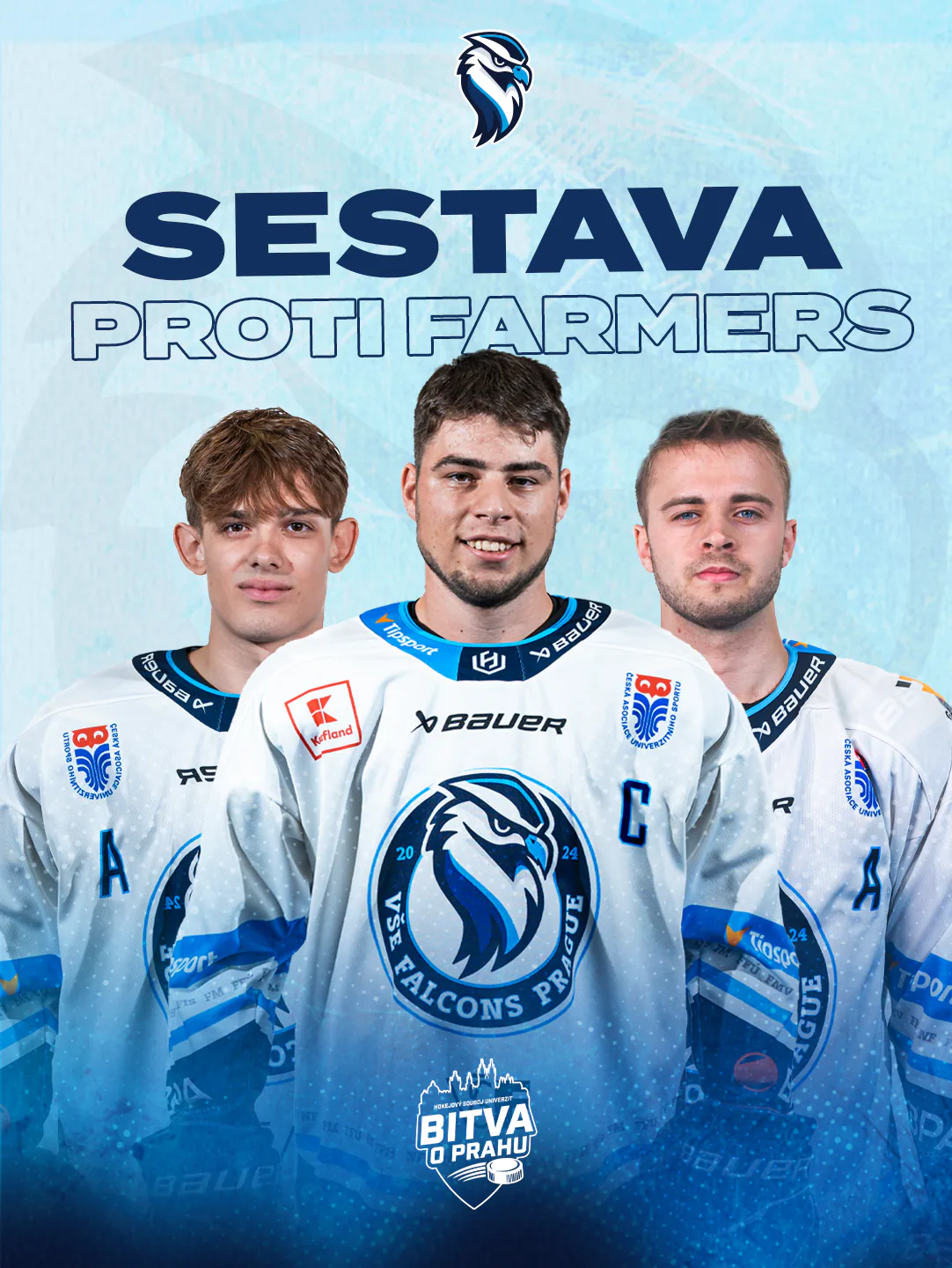 Sestava hokejového týmu VŠE Falcons